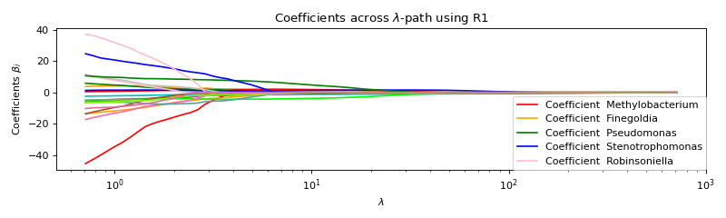 Coefficients across $\lambda$-path using R1