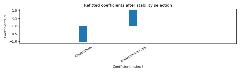 Refitted coefficients after stability selection