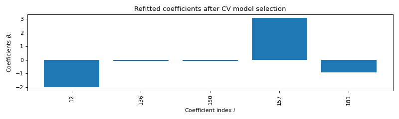 Refitted coefficients after CV model selection